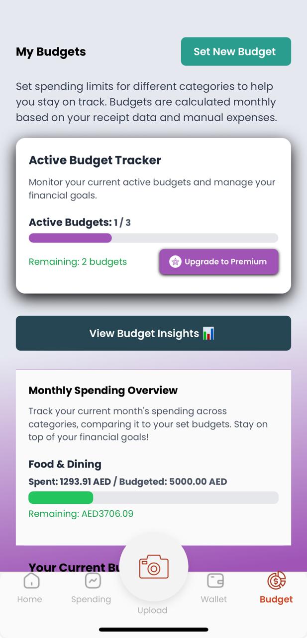 ResynQ App Budgeting Screen